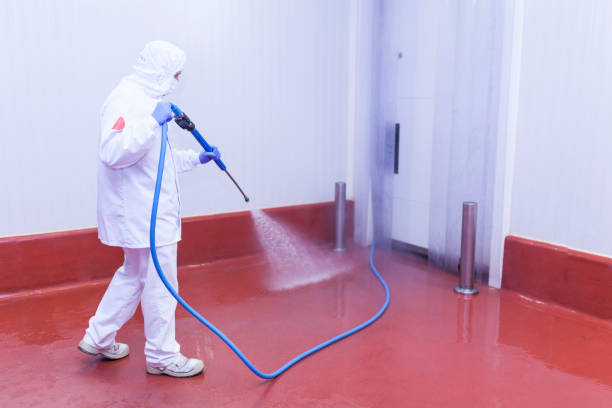 Best Roof Washing  in South Amboy, NJ